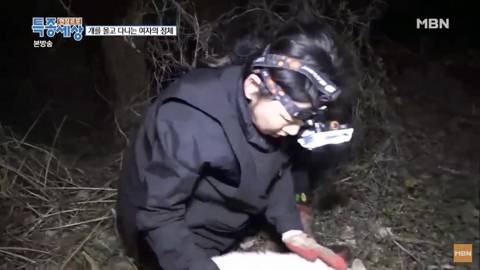 당신이 버린 강아지는 어떻게 되었을까 | 인스티즈