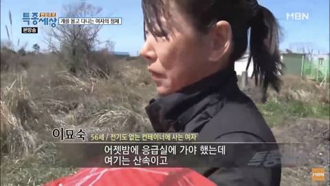 당신이 버린 강아지는 어떻게 되었을까 | 인스티즈