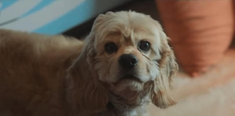 더글로리 뇌절 근황 | 인스티즈