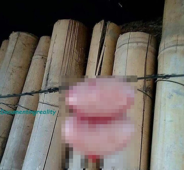 (사진주의) 남편이 바람피는 거 보고 ㅂㅇ을 잘라버린 아내 | 인스티즈