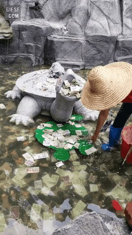 장사잘되는 연못 | 인스티즈