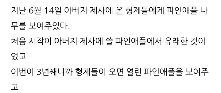 한 아저씨 블로거의 집에서 파인애플 키우기 (뭔가 힐링되는 기분임) | 인스티즈