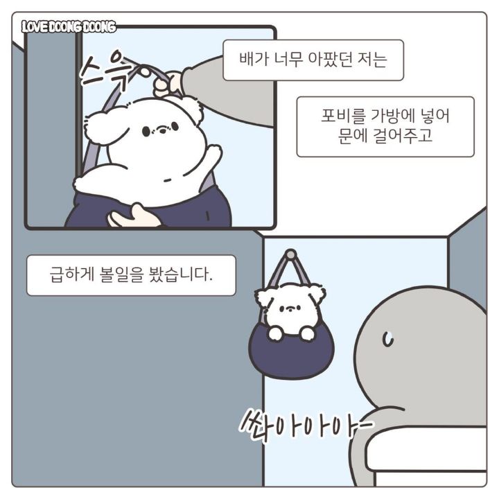 산책 중 사람이 실내배변을 할때 강아지 반응 | 인스티즈