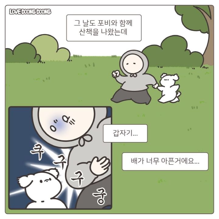 산책 중 사람이 실내배변을 할때 강아지 반응 | 인스티즈