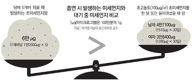 서울대 교수피셜... 담배 vs 미세먼지 | 인스티즈
