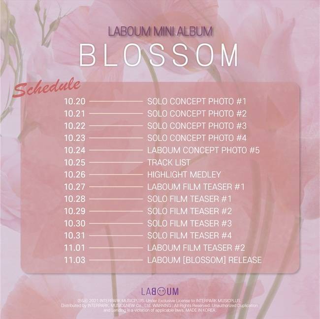 3일(수), 라붐(LABOUM) 미니 앨범 3집 'BLOSSOM' 발매 | 인스티즈