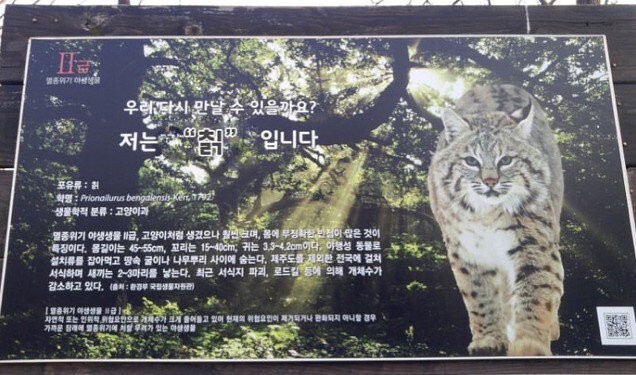 서울 암사생태공원에서 칡 발견 | 인스티즈