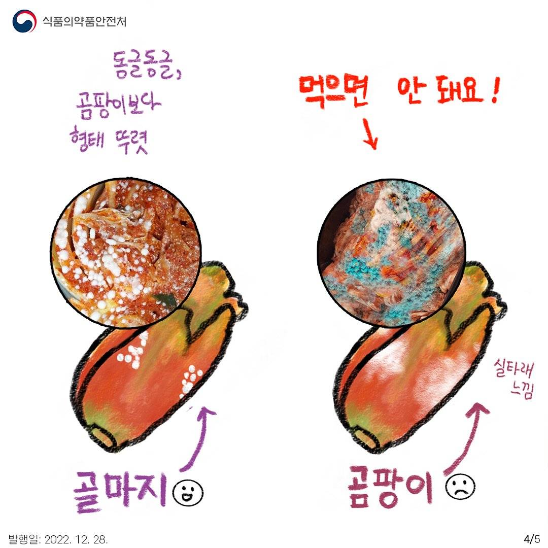 김치 위에 하얀? 곰팡이? 김치 먹어도 돼? | 인스티즈