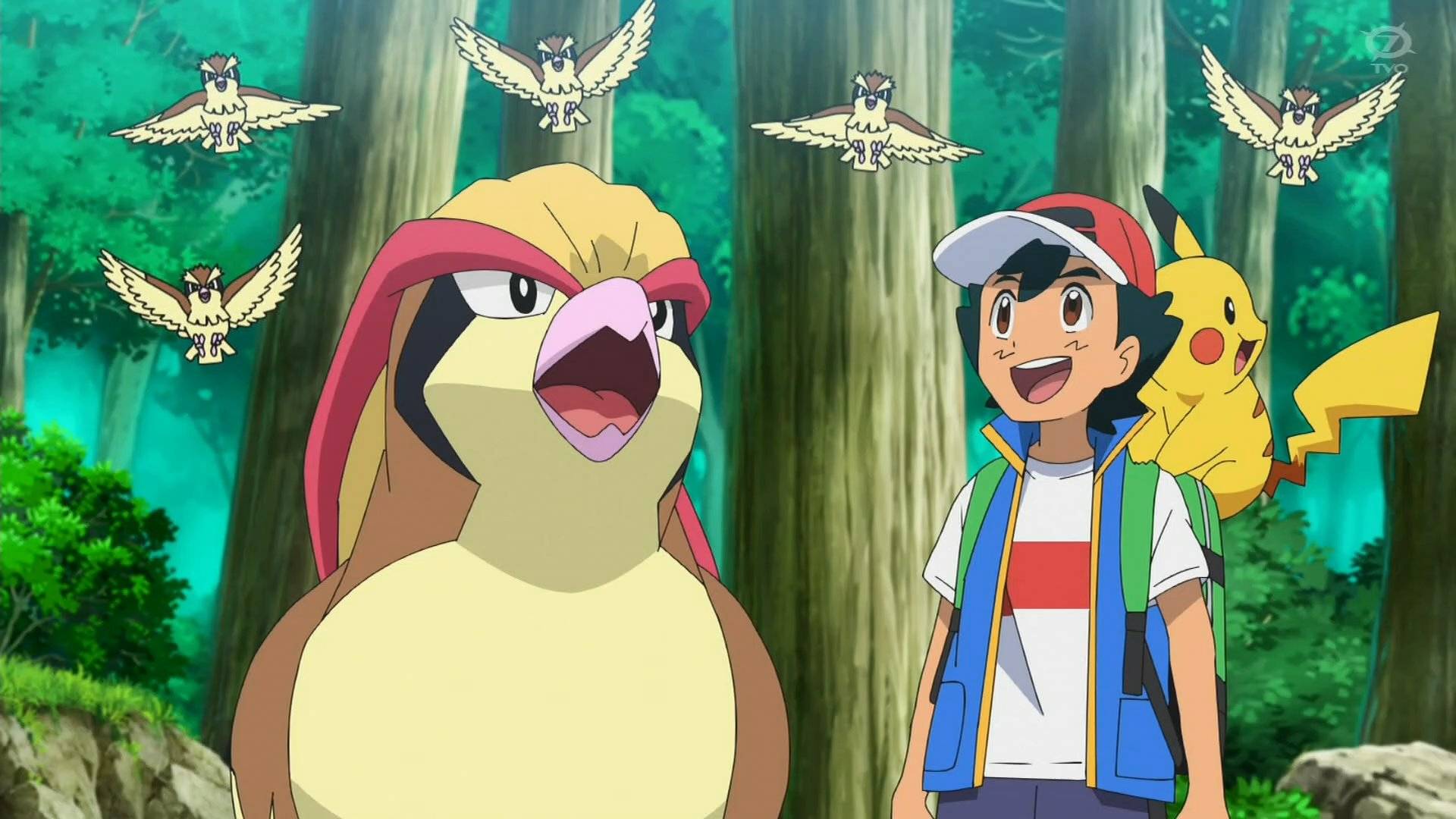 드디어 피존투가 나왔다는 글에 난리난 원피스갤 | 인스티즈