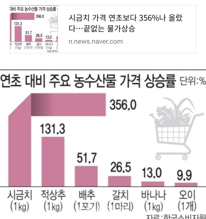 김여시만 모르는 올해 지구촌 뉴스 | 인스티즈