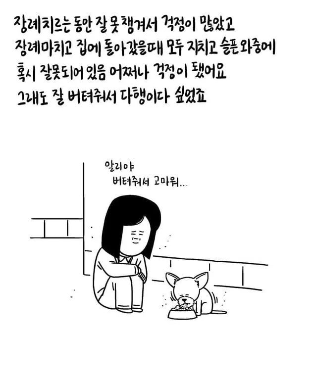 갑자기 떠난 아빠와 15살 강아지.jpg | 인스티즈