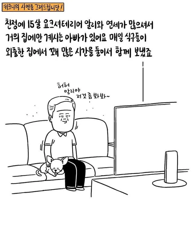 갑자기 떠난 아빠와 15살 강아지.jpg | 인스티즈