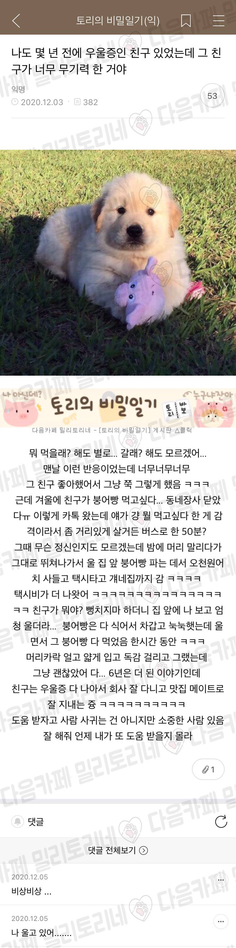 [냥감동] 나도 몇 년 전에 우울증인 친구 있었는데 그 친구가 너무 무기력한 거야 | 인스티즈