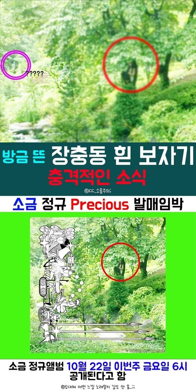22일(금), sogumm(소금) 정규 앨범 'Precious' 발매 | 인스티즈