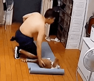 고양이 키우는 사람은 홈트하면 안되는 이유 | 인스티즈