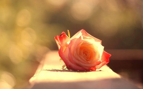  그는 나를 달콤 하게 내려 놓았다 | 인스티즈