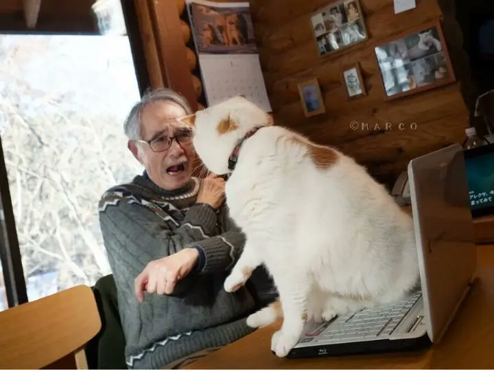 내가 만지지 말랬지!!!!!! | 인스티즈