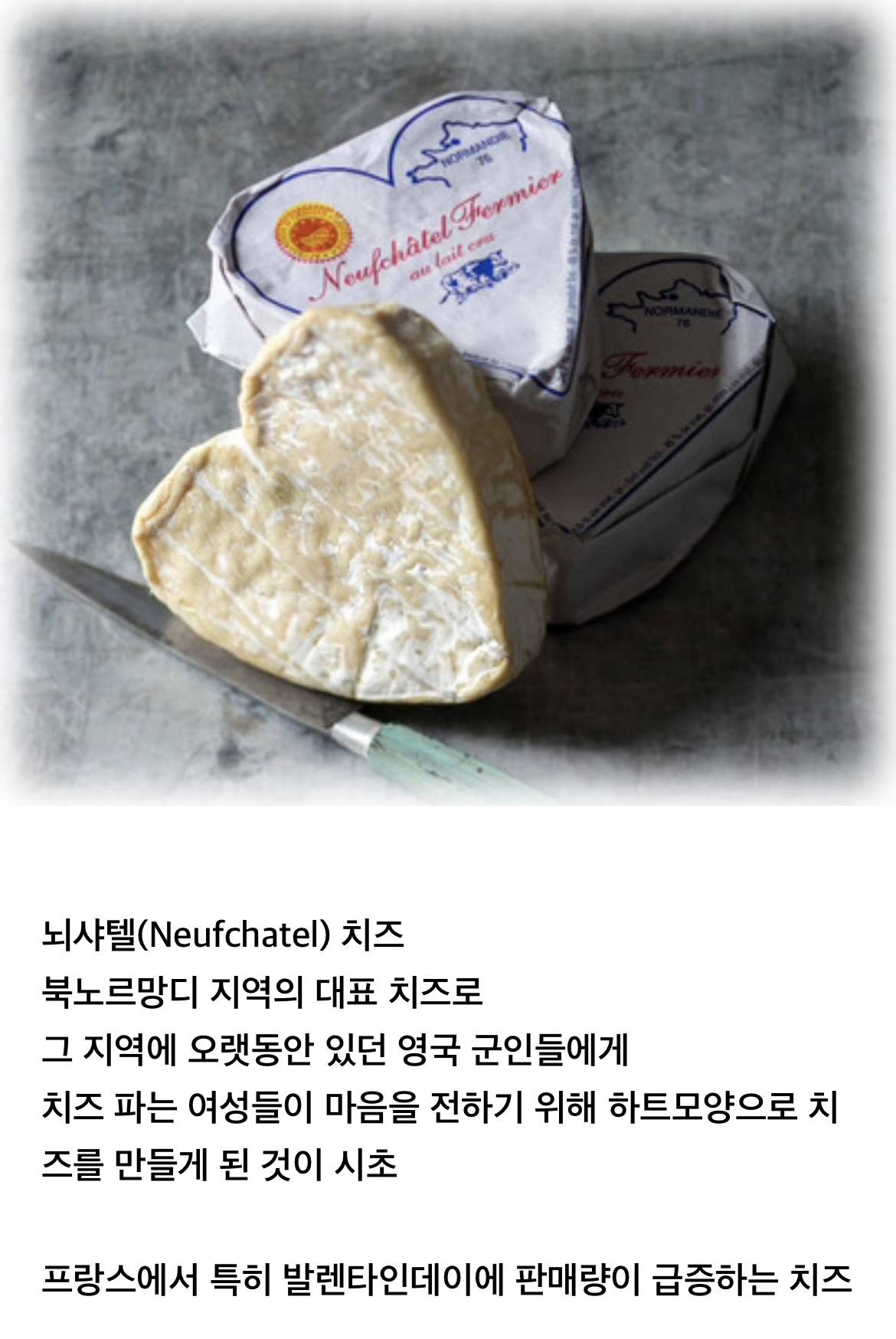 저는 여시 중독이 아니라 여캡 수집 아티스트예요 | 인스티즈