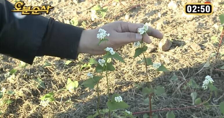 [나혼자산다] 나혼자 산다 컨셉의 진수를 보여줬던 김도균 편 (하트시그널 김도균 아님) | 인스티즈