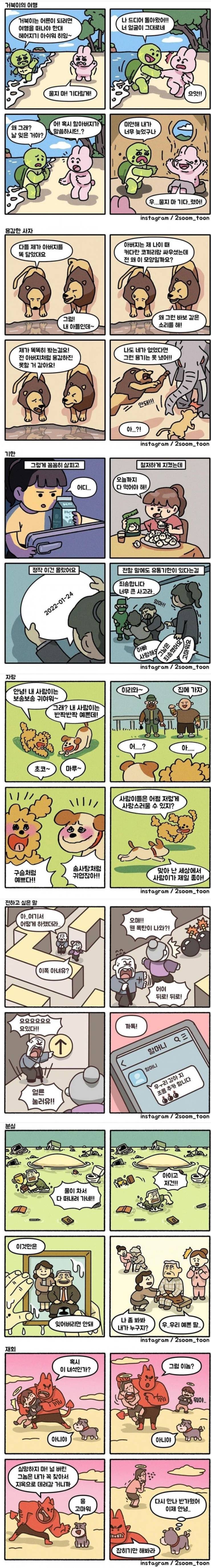 우ㅜ리 강아 지 조롭 추카 함니다 | 인스티즈