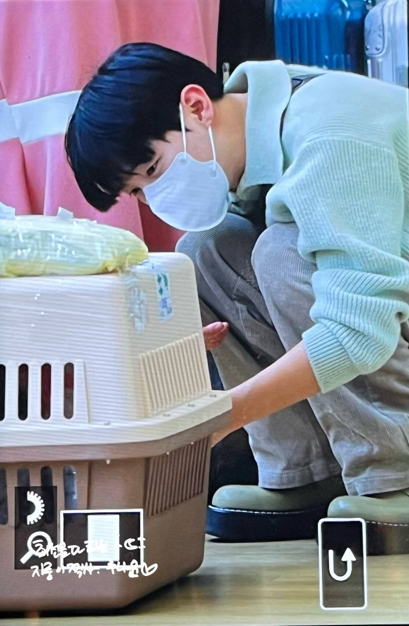 해외스케줄가면서 유기견 해외입양 이동봉사하는 아이돌 | 인스티즈