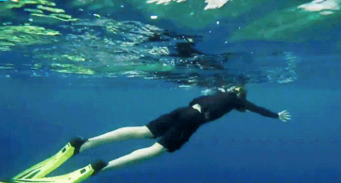 학창시절 예체능 선생님들이 서로 데려가려고 했다는 방탄소년단 정국 | 인스티즈