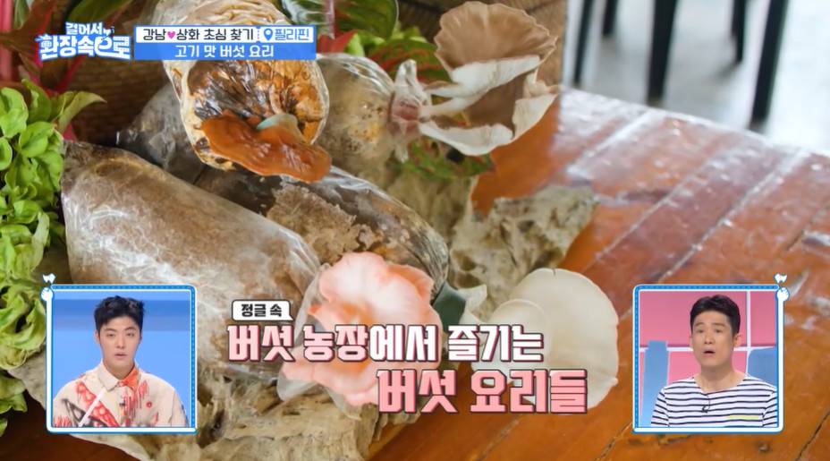 이상화가 직업병으로 인해 도전을 두려워하는 이유 | 인스티즈