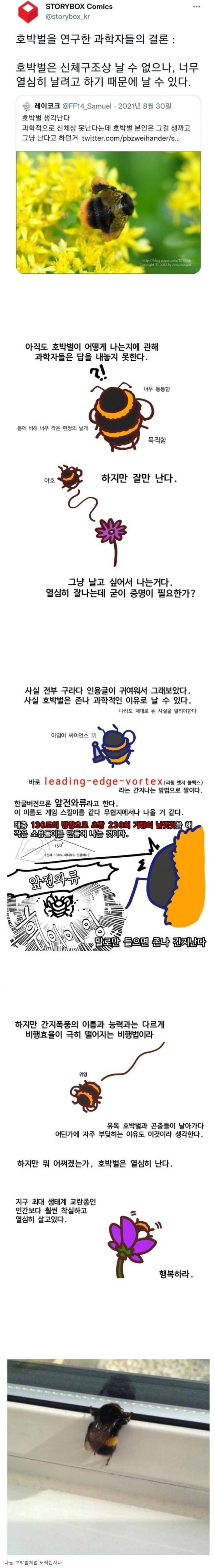 호박벌이 나는 이유.JPG | 인스티즈