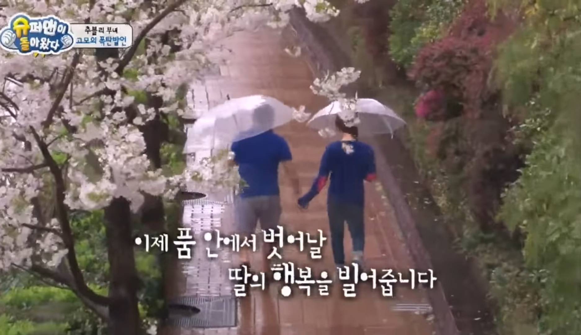 많은 사람들이 추억하고 있는 추성훈 아버지 (사랑이 할아버지) 故 추계이님 | 인스티즈