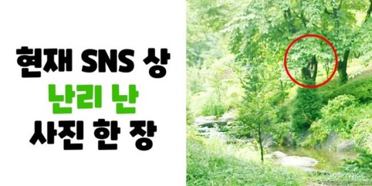 AOMG 공식 SNS에 '장충동 흰 보자기' 등장, 정체불명 사진 | 인스티즈