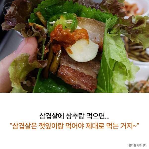 본인이 꼰대인지 확인할수있는 방법.jpg | 인스티즈