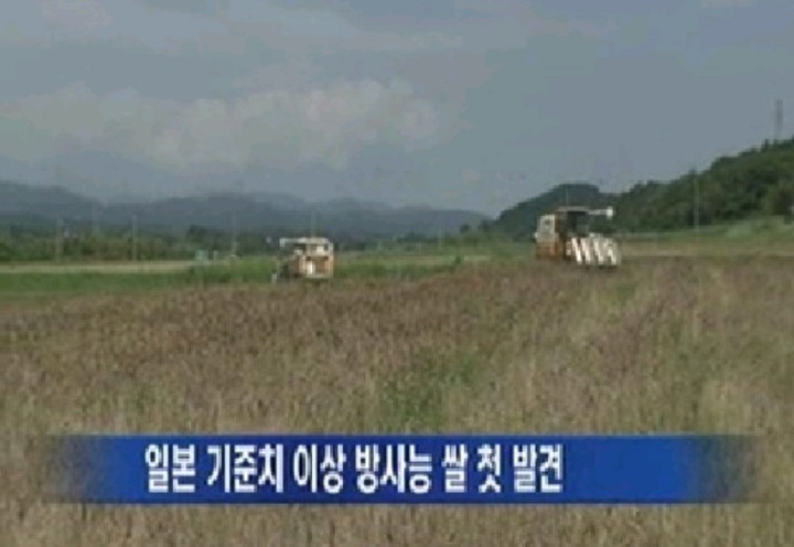 일본 여행 안 가는 사람들 유형 | 인스티즈