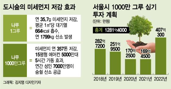 [단독] 서울시 2022년까지 '공기청정 나무' 1000만그루 심는다 | 인스티즈