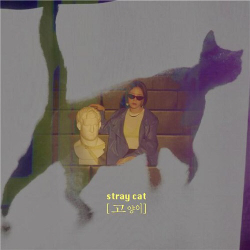 25일(목), 버디(BUDY) 싱글 앨범 '고양이(stray cat)' 발매 | 인스티즈