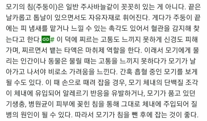 모기에대한 tmi | 인스티즈