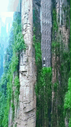 w 호진피셜) 롤더 넥스트에 나간건세계에서 가장 높고 무서운 실외 엘리베이터.gif 제가 아닙니다 오해하지마세요 | 인스티즈