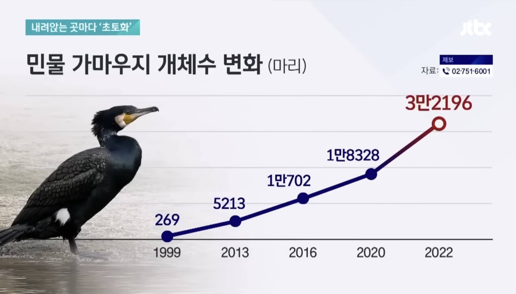 현재 한국 생태계 파괴시키고 있는 '6억' 물고기 씨말리고 산림도 파괴하는 빌런새 | 인스티즈