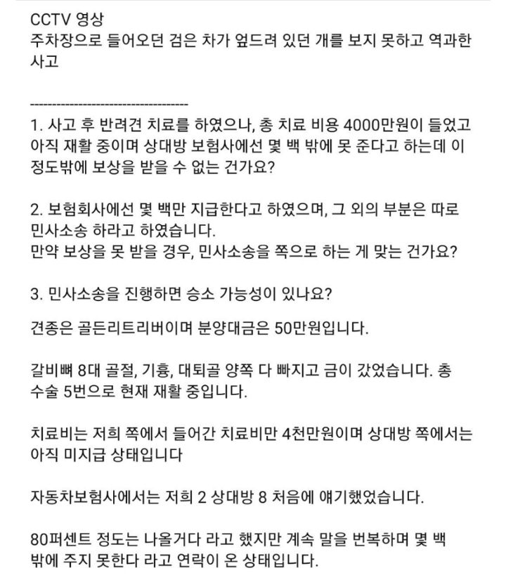 (혐오주의)한문철tv 강아지 치료비 4000만원 나온 사건.jpgif | 인스티즈