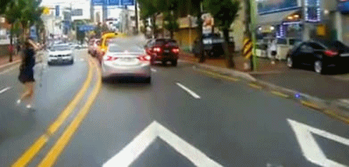 무단횡단하는 사람이 짐승만도 못한 이유 ㄷㄷㄷㄷ | 인스티즈