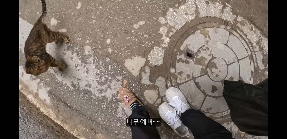 아랍여행 도중 사람사는 정을 느낀 여성 여행 유튜버 근황 ...JPG | 인스티즈