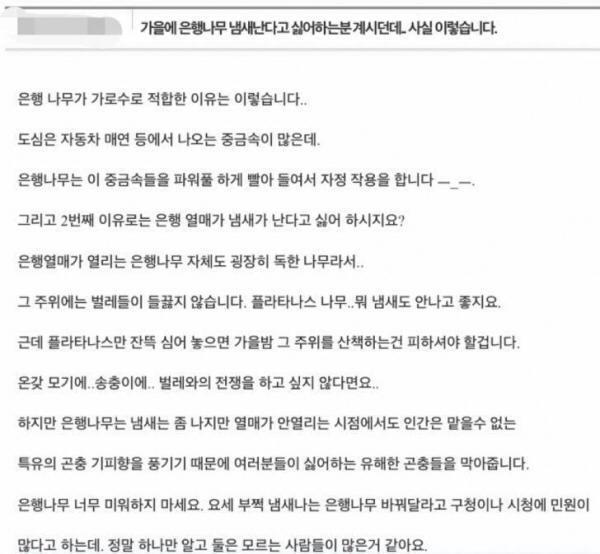 은행나무가 가로수로 쓰이는 이유 | 인스티즈