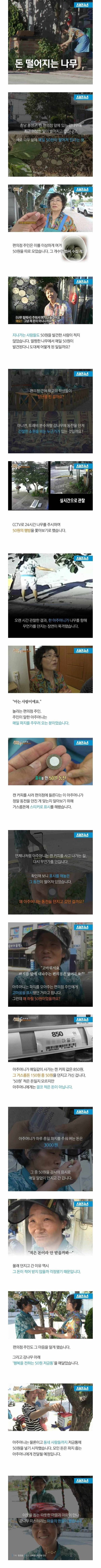 매일 50원씩 돈이 떨어지는 감나무 | 인스티즈