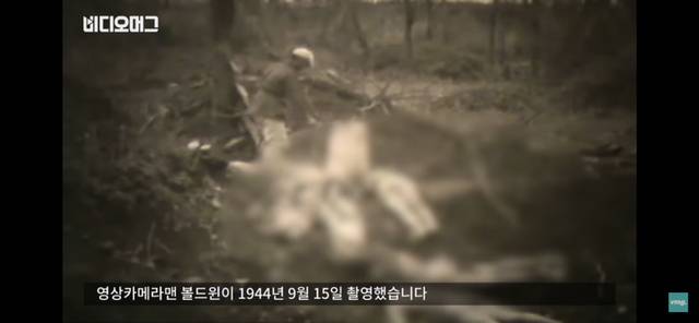 약혐 일본군에 의한 조선인 위안부 학살 영상 | 인스티즈