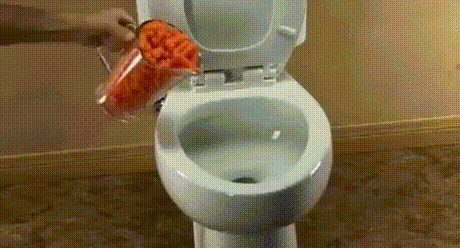 변기 먹방 | 인스티즈