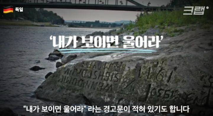 김여시만 모르는 올해 지구촌 뉴스 | 인스티즈