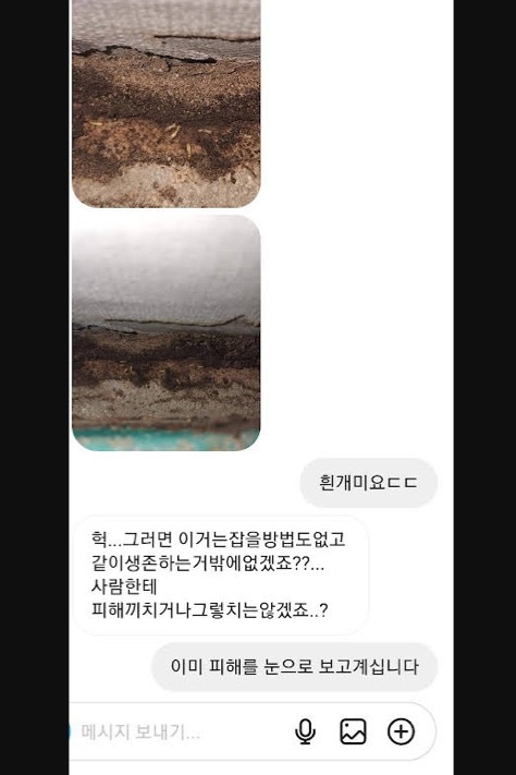 우당탕탕 유튜버 다흑 구독자들 2 (벌레사진 많음) | 인스티즈