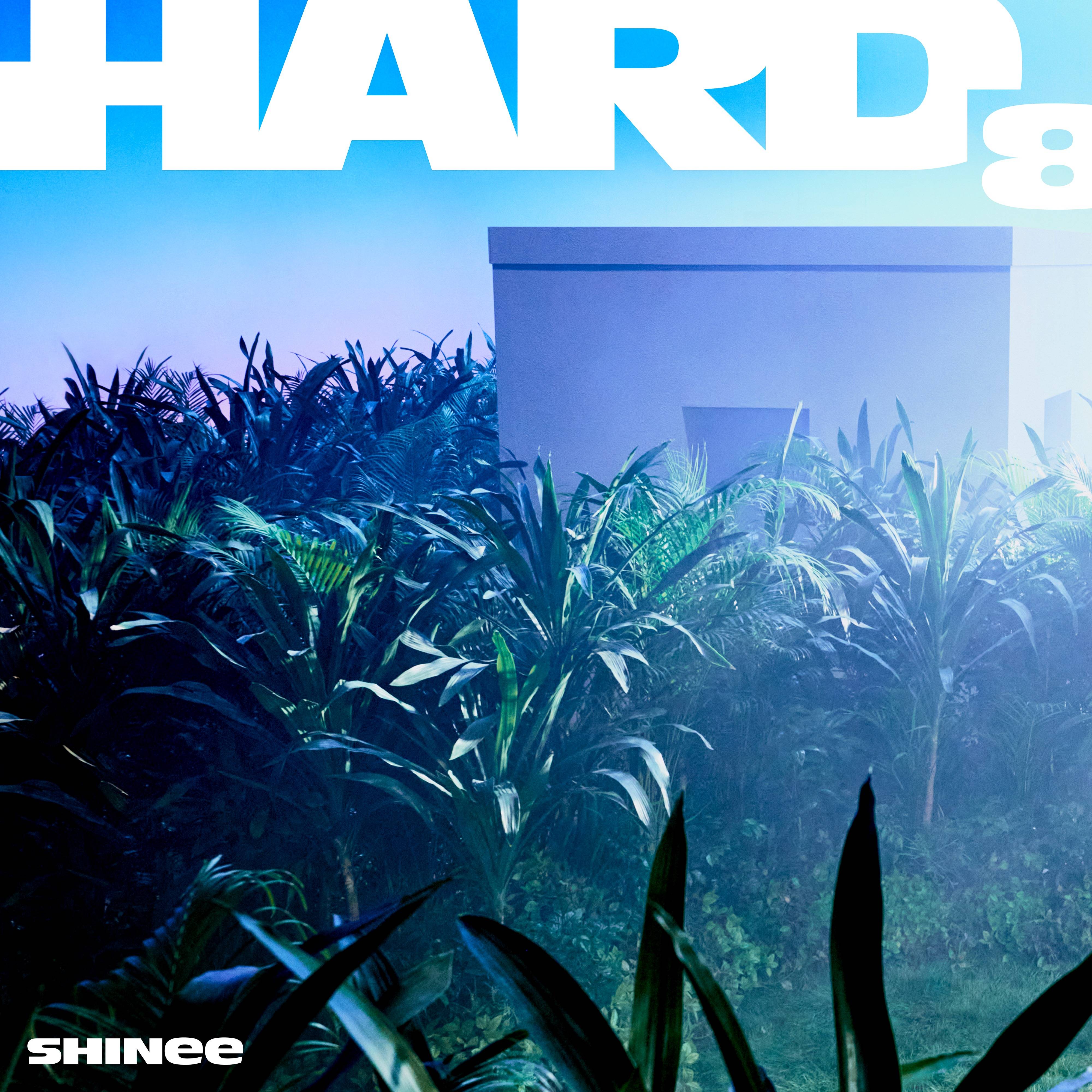 샤이니 정규 8집 『HARD』 Clue Poster 2 + 풀이 | 인스티즈