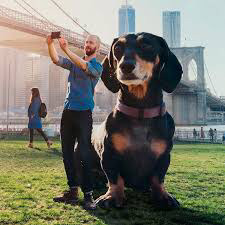 이런 강아지가 있으면 키운다vs안키운다 | 인스티즈