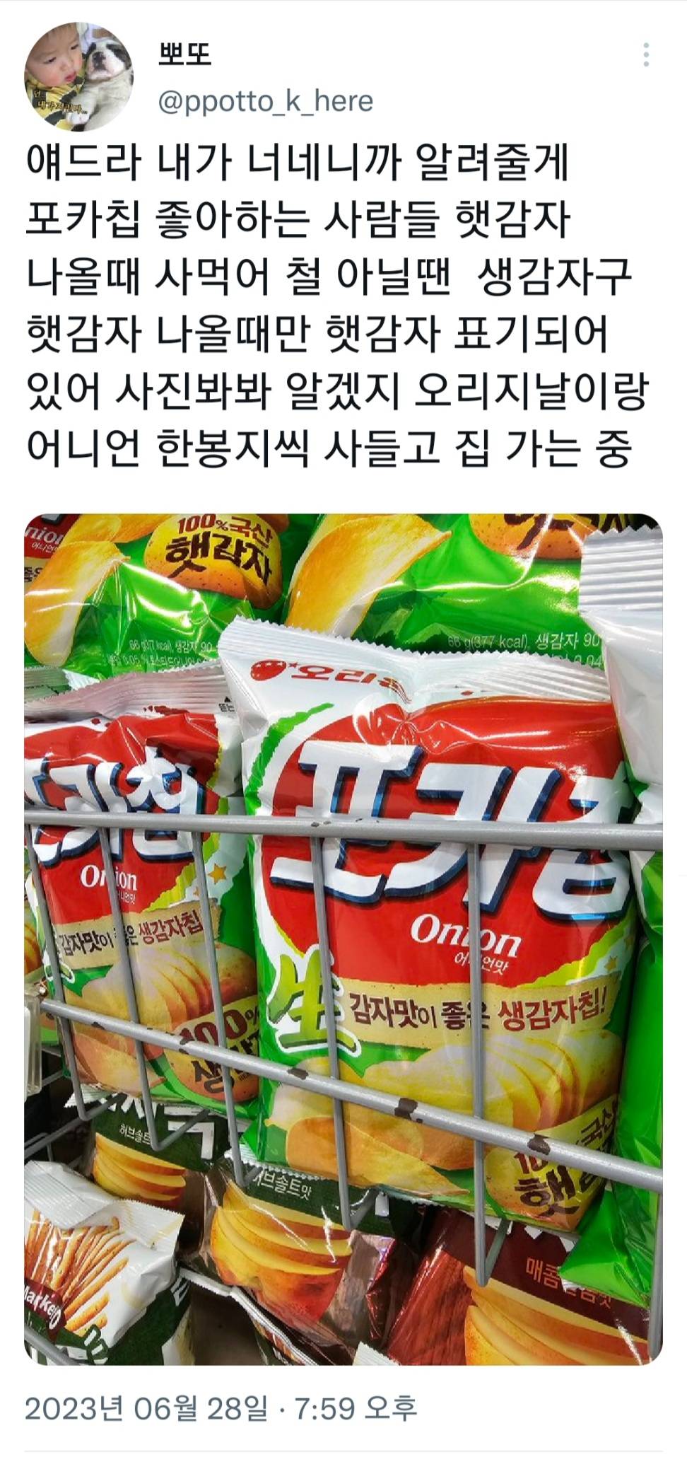 요즘 제철이라는 과자.twt | 인스티즈