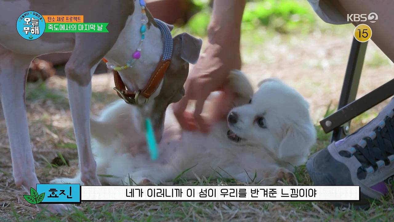 공효진이 막무가내로 대기업에 전화해서 얻어낸것 (오늘무해) | 인스티즈